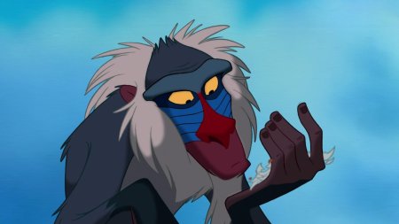 Rafiki король лев