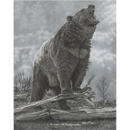 Медведи рисунки