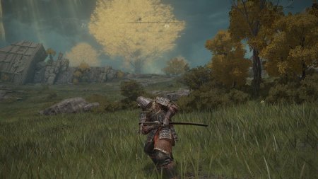 Elden ring скриншоты
