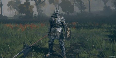 Элден ринг сет рыцаря