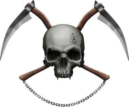 Кости череп