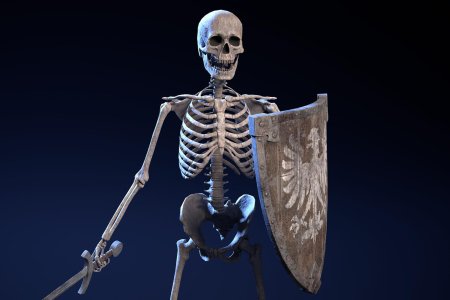 Skeleton warrior