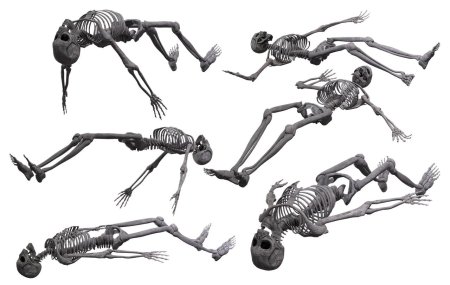 Лежащий скелет