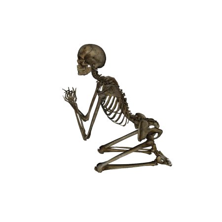 Человека скелет