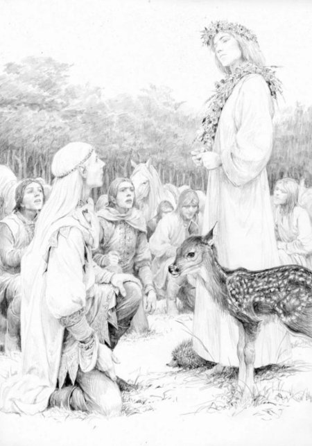 Ведьмак иллюстрации дениса гордеева