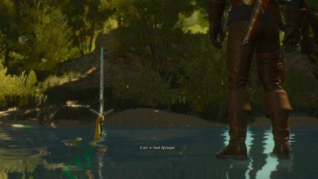 Арондит ведьмак 3