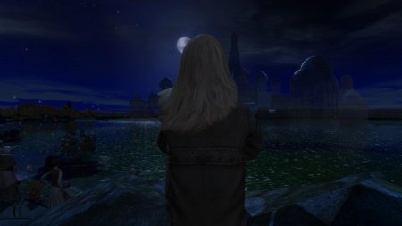 Ведьмак 1 темноводье