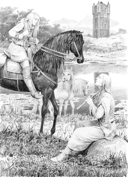 Ведьмак иллюстрации к книгам