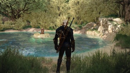 The witcher complete edition