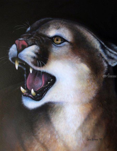 Пума акварель