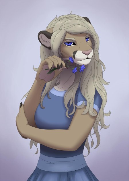 Фурри львица