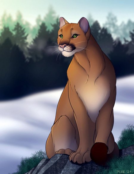 Рисунки пумы