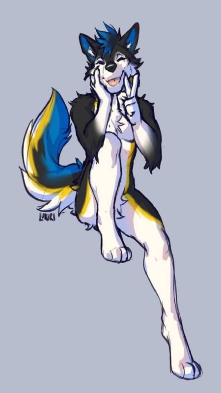 Волки фурри