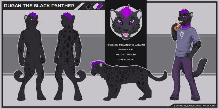 Фурри пантера