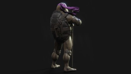 Донателло из черепашек