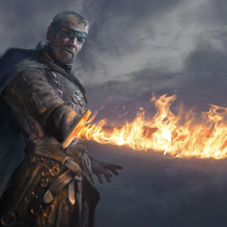 Берик дондаррион