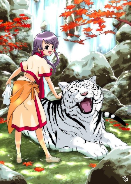 Сикигами тигр аниме