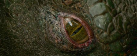 Глаза рептилии