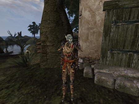 Morrowind rebirth