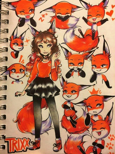 Леди баг квами лисы