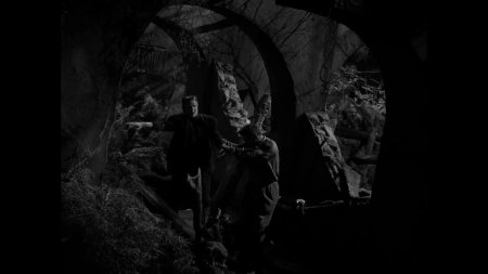 Франкенштейн встречает человека-волка фильм