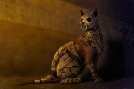 Мумии кошек в древнем египте