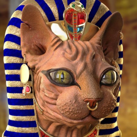 Египетский сфинкс кошка