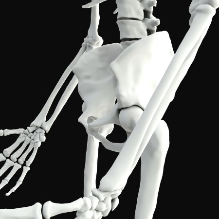 Человека скелет