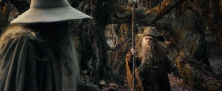 Радагаст властелин колец