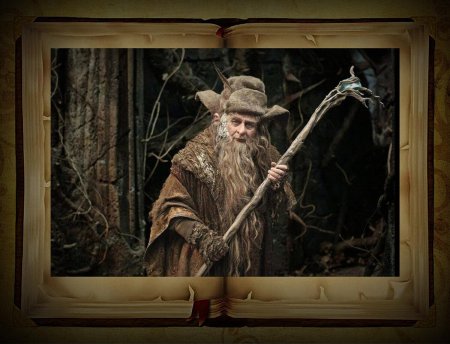 Радагаст бурый хоббит