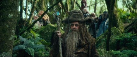 Радагаст хоббит