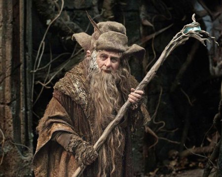 Радагаст бурый хоббит
