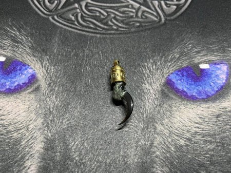 Коготь ворона оберег