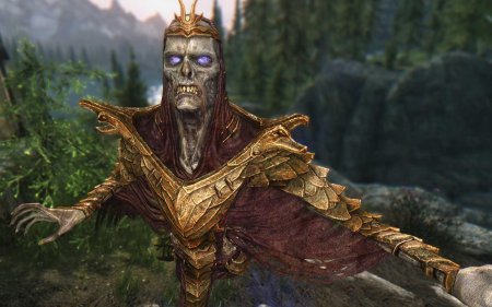 Скайрим броня драконьего жреца