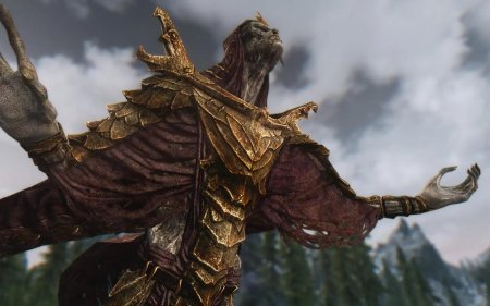 Скайрим броня драконьего жреца