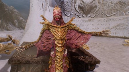 Драконий жрец скайрим арт