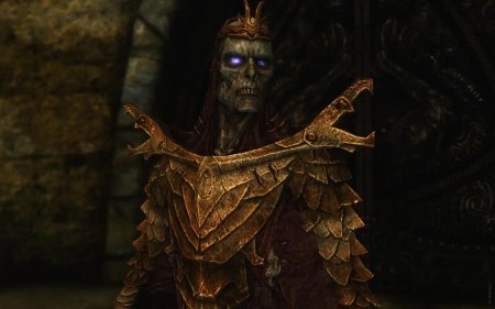 Скайрим броня драконьего жреца