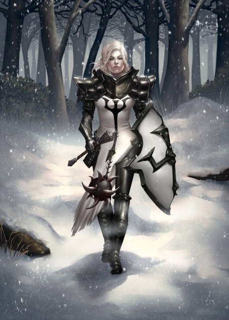 Диабло 3 крестоносец арт