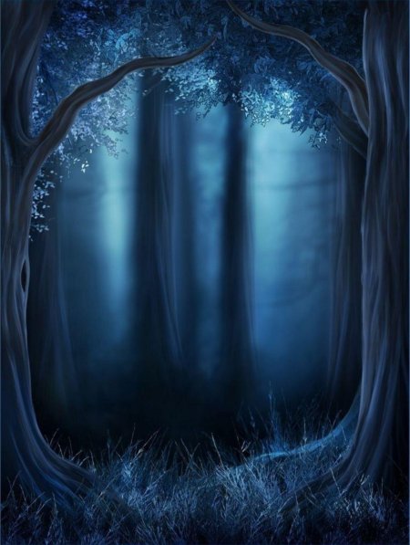 Сказочный лес ночью