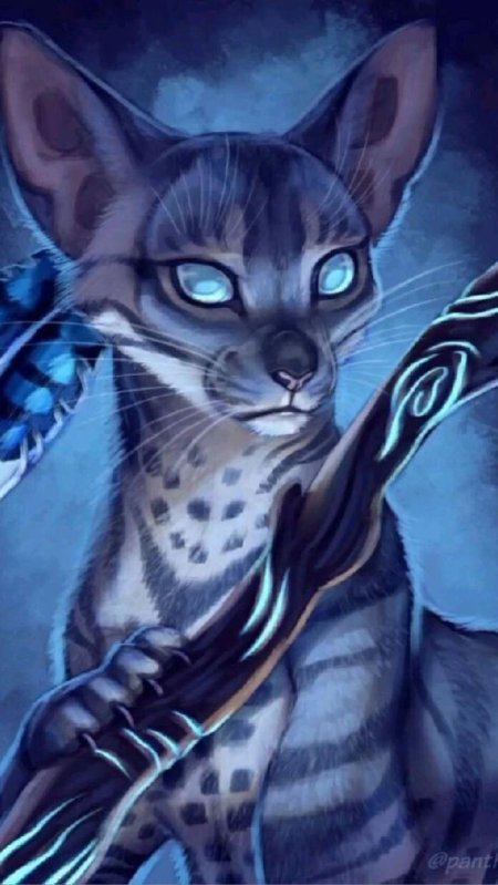 Коты воители воробей