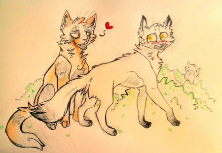 Коты воители для срисовки