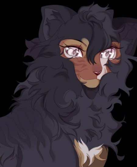 Кот воители