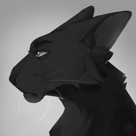 Грачик коты воители