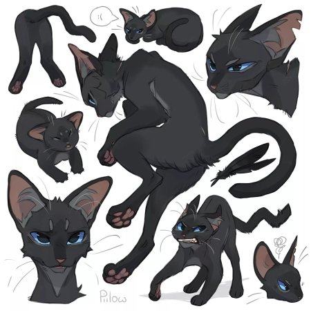 Warrior cats crowfeather