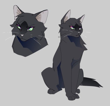 Коты воители арты остролистая