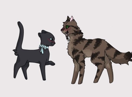 Рогозница коты воители