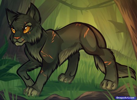 Коты воители остролистая