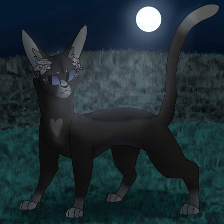 Коты воители лунная тень