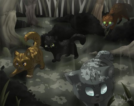 Коты воители: Сумеречница