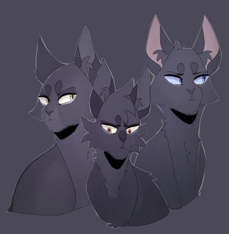 Коты воители сумеречница